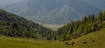  Phobjikha Valley 