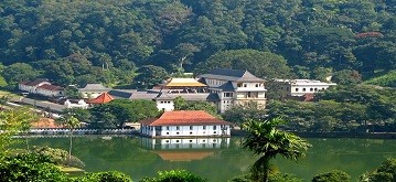  Kandy 