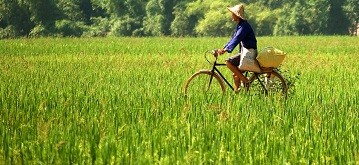  Mai Chau 