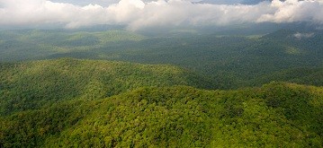  Cardamom Mountains 