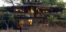 Bandhavgarh - Tree House Hideaway 