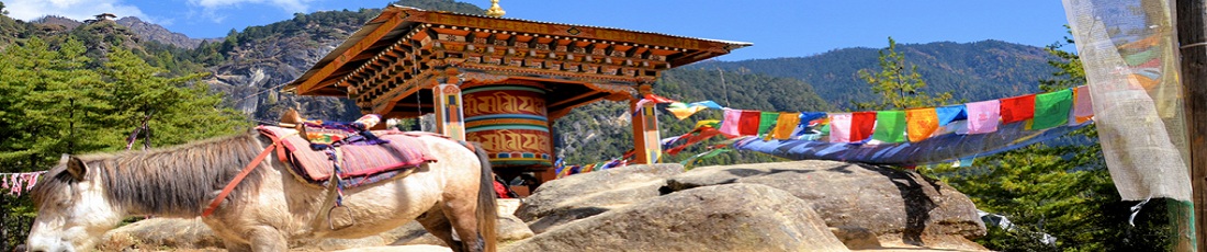  10 Days Of Bhutan Heritage & Wellness Tour 