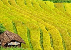 19 DAYS OF LUXURY VIETNAM TOUR