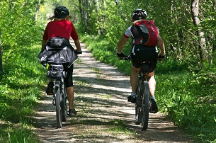   Cycle Tour through Tea Plantations & Make Your Own Tea   