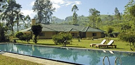 Nuwara Eliya - Ceylon Tea Trails 