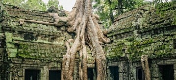  Angkor Temples/ Siem Reap 